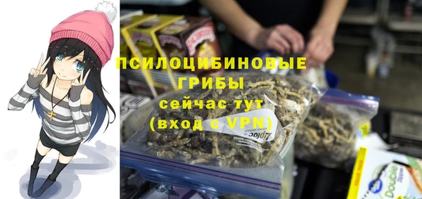 mdpv Зеленодольск